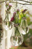 /album/fotogaleria-ideas/a644005-443290075708969-1840313847-n-jpg/