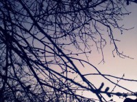 /album/fotogaleria/a181332-3711787430457-1099358673-n-jpg/