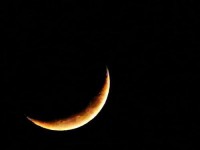 /album/fotogaleria/a248102-3711794070623-1546886472-n-jpg/